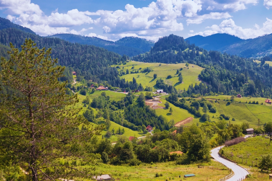 10 Reasons to Visit Tara National Park on a Road Trip