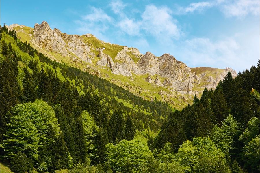 A Relaxing Road Trip Across the Hills of Southern Serbia