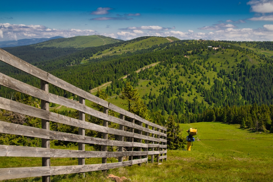Best Kopaonik Activities for German Tourists on a Road Trip