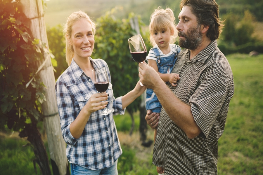 Best Wineries to Visit in Sremski Karlovci by Car