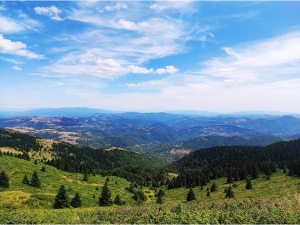 6 Most Scenic Routes in Serbia You Should Drive to