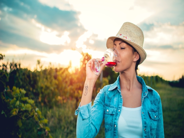 Best Wineries to Visit in Sremski Karlovci by Car