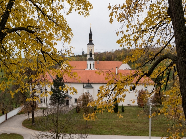 Why You Should Explore Vojvodina in Serbia by Car